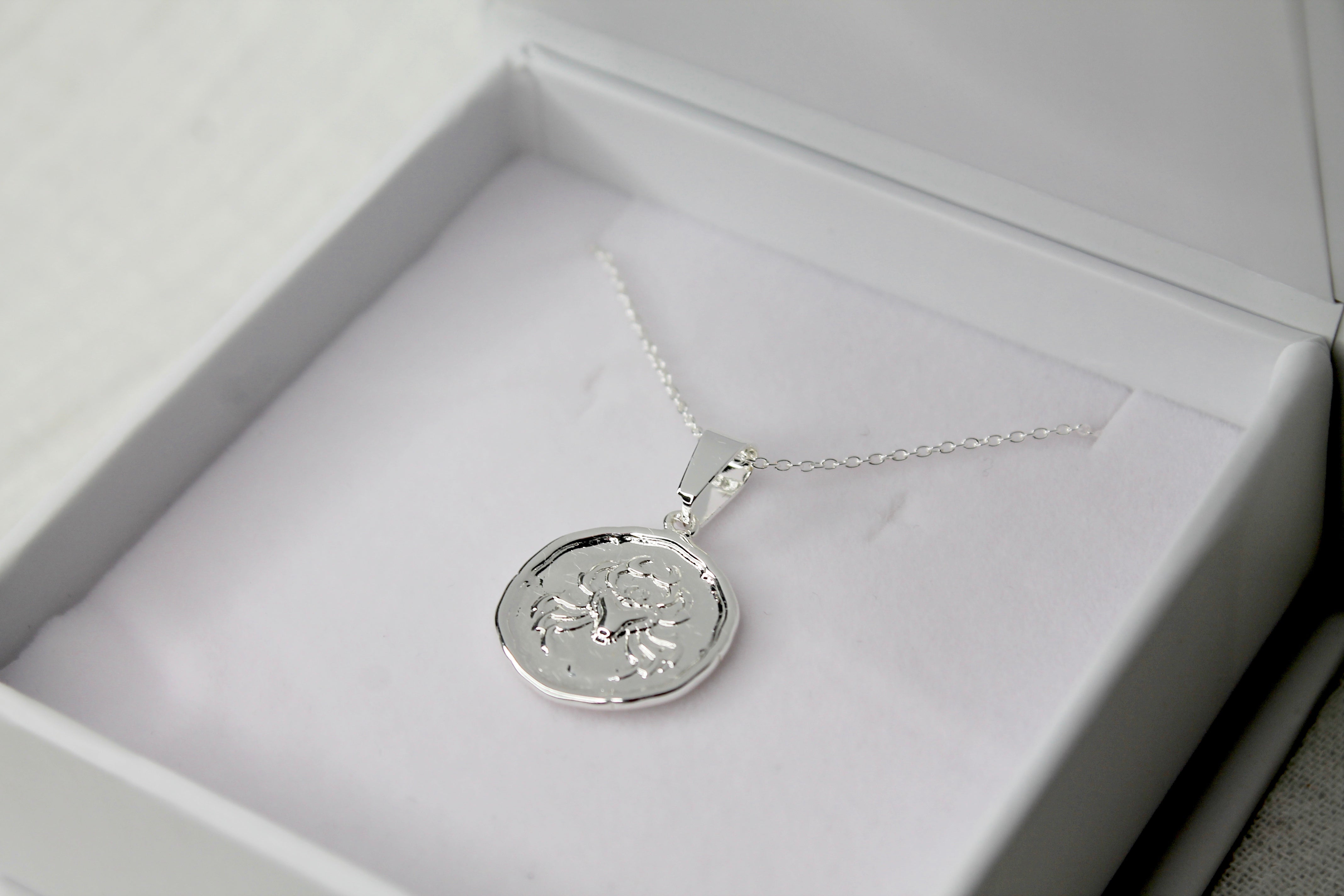 Lucy Zodiac Necklace in Silver